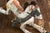 Vintage Wooden Horse Marionette Puppet For Sale In New York - Image 6 of 8