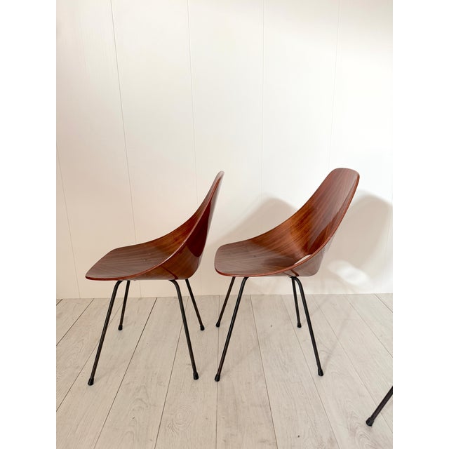 Mid-Century Modern Vintage Medea Chairs by Vittorio Nobili for Fratelli Tagliabue, 1950s, Set of 6 For Sale - Image 3 of 15