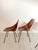 Mid-Century Modern Vintage Medea Chairs by Vittorio Nobili for Fratelli Tagliabue, 1950s, Set of 6 For Sale - Image 3 of 15