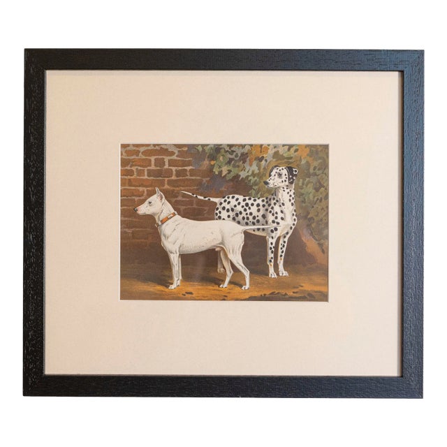 Single Print - Cassell, Petter, Galpin & Co Chromolithograph Dog Print in Black Frame For Sale