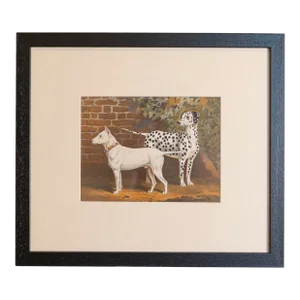 Single Print - Cassell, Petter, Galpin & Co Chromolithograph Dog Print in Black Frame