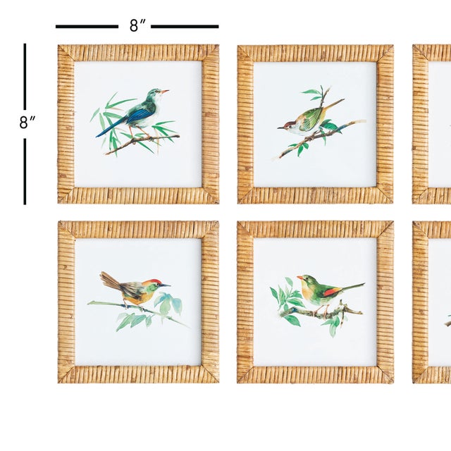 These sweet little songbirds will make your walls sing. Finished off with rattan frames, this petite set of six prints are...