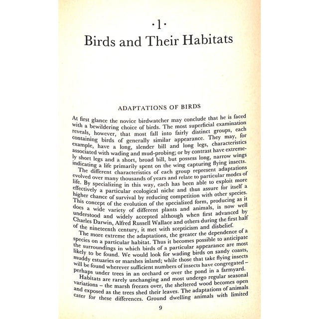 1980s "British Birds: Lifestyles and Habitats" 1982 Prestt, Ian For Sale - Image 5 of 9