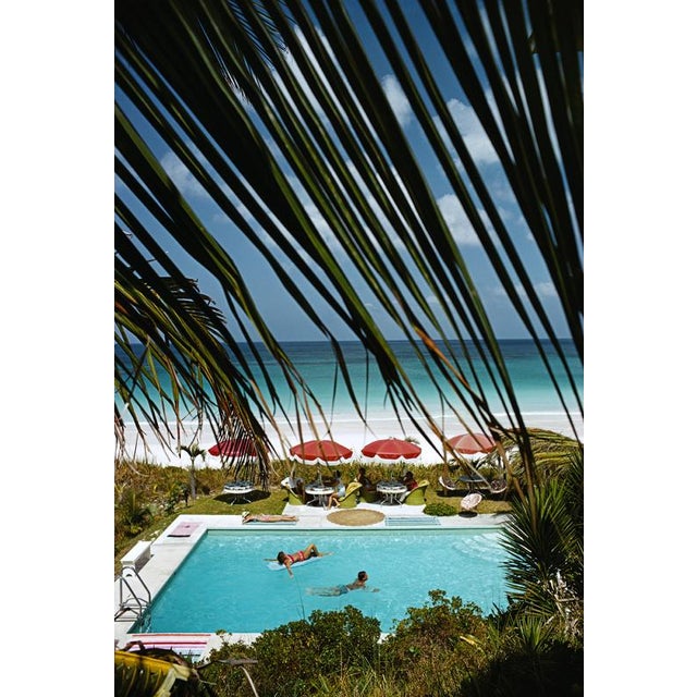 Blissful Bahamas 1967 A swimming pool, seen through the fronds of a palm tree, with two people swimming and a group of...
