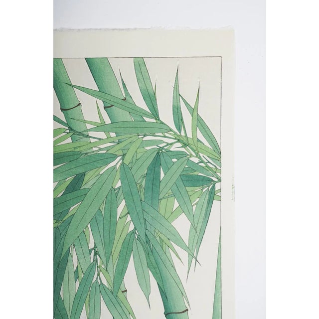 Vintage 1950's Japanese woodblock print on paper botanical Bamboo by Kawarazaki Shodoo (1889-1973) Japan. Unframed.