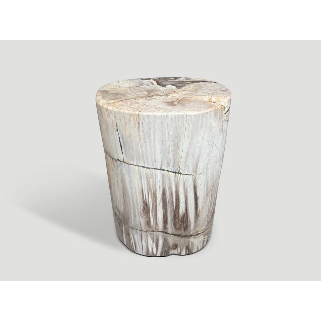 2020s Andrianna Shamaris Ancient Petrified Wood Side Table For Sale - Image 5 of 5