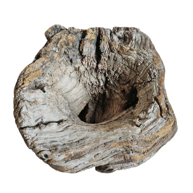 Wood Mid 20th Century Old India Burl Wood Bowl For Sale - Image 7 of 8