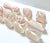 1980s Ceramic Pink Stripe Seashell Napkin Rings - A Set of 8 For Sale In Louisville - Image 6 of 12