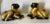 Antique Chinese Qing Dynasty Gold porcelain pair of cat sphinxes sculptures. Baster Goddesses Protectors of Women...