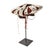 African Early 20th Century Zulu Isicholo Married Woman Headdress South Africa Sidley Collection For Sale - Image 3 of 7