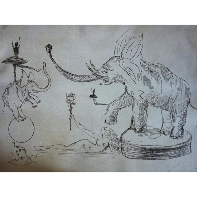 Salvador Dali, Les éléphants, Nude, Etching For Sale - Image 3 of 9