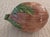 Chestnut "Set of 8 Vietri Italy Faux Bois Coconut Lidded Boxes, Fern Leaf, Palm Beach" For Sale - Image 8 of 11