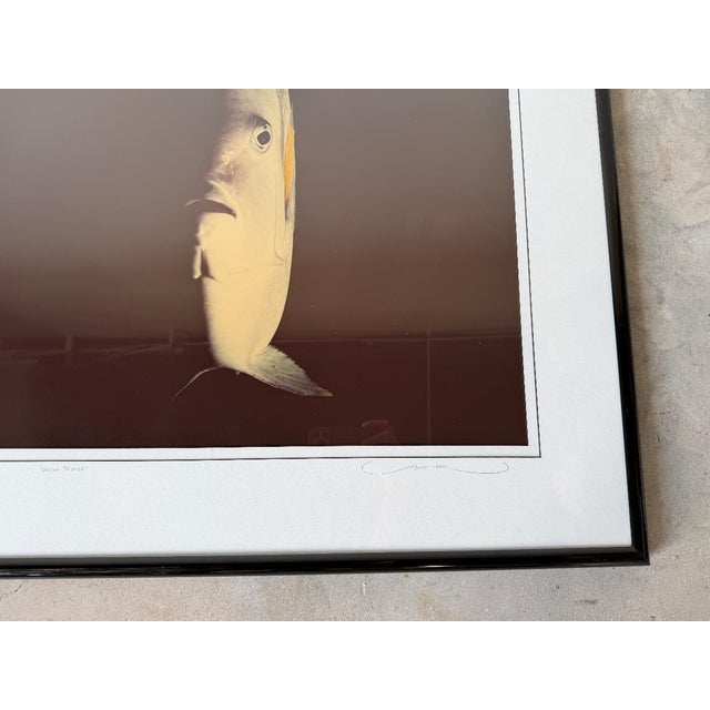 Large - 1980s David Leach “Angel Profile” Limited Edition Fine Art Photography, Signed & Numbered 28/250, Framed For Sale - Image 13 of 16