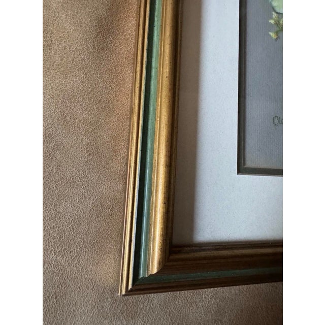 Gold Original Pair of Botanical Pastels Art in Gilt Frames Signed 1986 Mid Size For Sale - Image 8 of 11