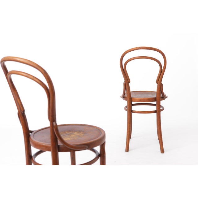 1940s Antique Austrian Beech Bentwood Dining Chairs, 1930s, Set of 2 For Sale - Image 5 of 12