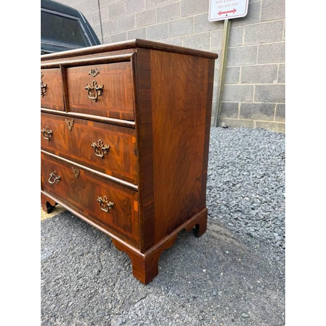 Brown Antique Georgian Style Burr Walnut Chest of Drawers For Sale - Image 8 of 17