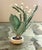 Early 20th Century Polychrome Carved Potted Lily of the Valley For Sale - Image 5 of 12