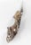 Silver 1970's Modernist Brutalist Sterling Silver Letter Opener by Stuart Devlin London For Sale - Image 8 of 12