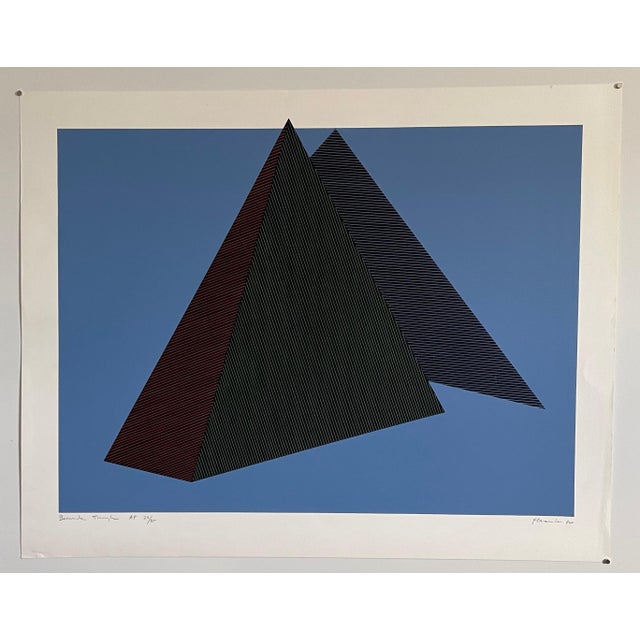 Jean-Marie Haessle, Jean Marie Haessle Abstract Geometric Op Art Silkscreen Lithograph Print, 1980 For Sale In Miami - Image 6 of 6