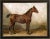 Holsteiner Horse by Eerelman Framed in Italian Wood Vener Moulding For Sale In Atlanta - Image 6 of 6