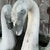 Vintage Coastal Patinated Cast Concrete Swans - a Pair For Sale In West Palm - Image 6 of 9