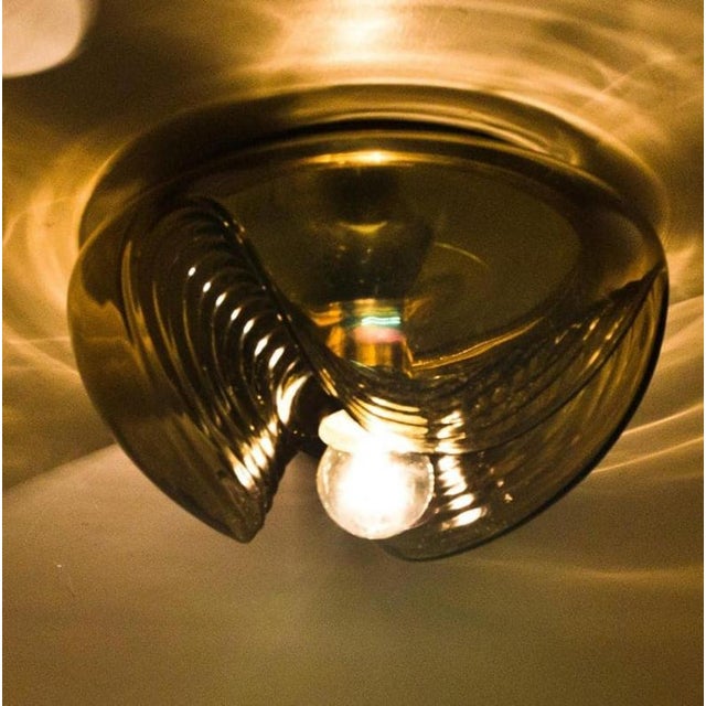 Sconces and Pendant Lights by Koch & Lowy for Peill & Putzler, 1970s, Set of 4 For Sale - Image 17 of 18