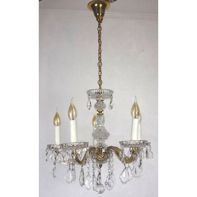 1950s Antique Brass Lead Crystal Palme and Walter Chandelier from Palwa, 1950s For Sale - Image 5 of 10