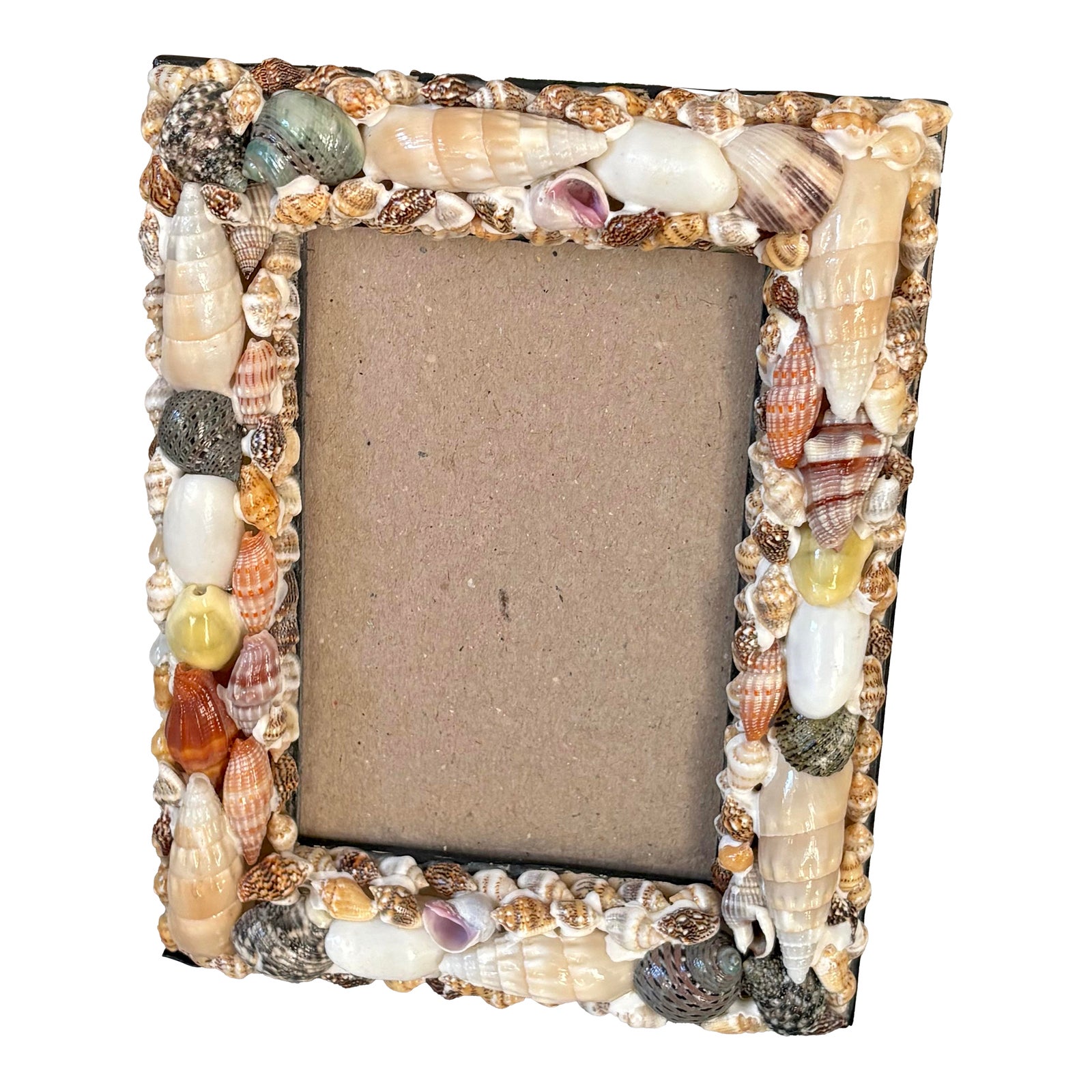 Small Shell Frame | Chairish