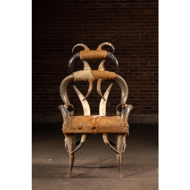Mid 20th Century Mid 20th Century Monumental Longhorn Horn Throne Chair For Sale - Image 5 of 13