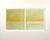 Janise Yntema Contemporary Abstract Encaustic Beeswax on Archival Paper "Yellow on Yellow" by Janise Yntema For Sale - Image 4 of 4