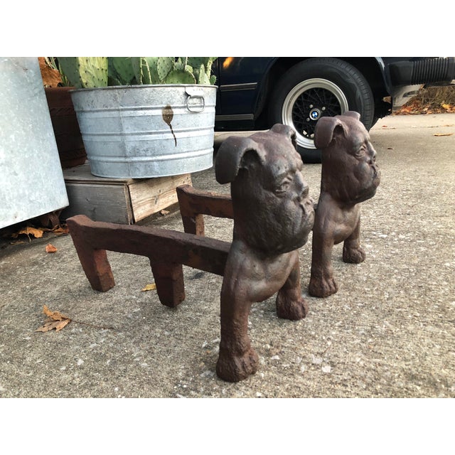 Early Bulldog Iron Andirons a Pair Chairish