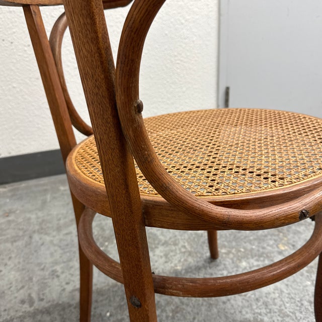 Thonet Bentwood Cane Seat Armchair, Vintage For Sale - Image 11 of 12