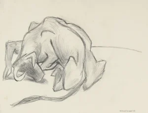 Gerald Wasserman "Mexican Bull" Drawing in Graphite, Circa 1947