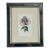 Vintage Trowbridge Custom Framed Botanical Print “Phlox” After Louis Van Houtte (1810–1876) For Sale
