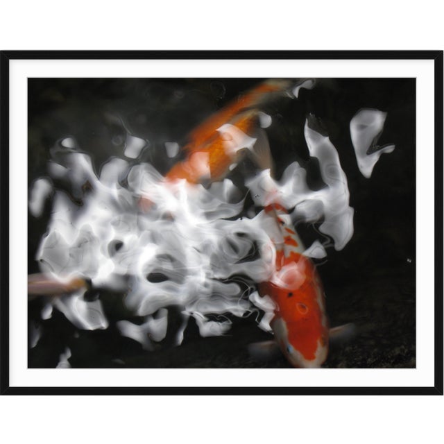 "Koi I" 24" X 32" Contemporary Color Photograph With Black Frame by Dorothy Solomon For Sale