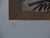 Modern Louttre B, Le Petit Pays, Lithograph For Sale - Image 3 of 5