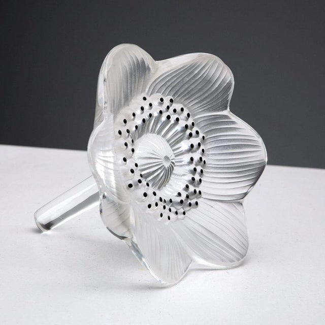 Glass Glass Anemone from Lalique For Sale - Image 7 of 8