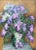 Janis Kalnmailis. (1939-\. ). Lilac. Fresh, large and original impressionism of 2011, with a richness of colors, textures...