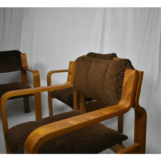 Dining / Office Chairs by Ludvik Volak for Drevopodnik Holesov, 1960s, Set of 4 For Sale - Image 12 of 18