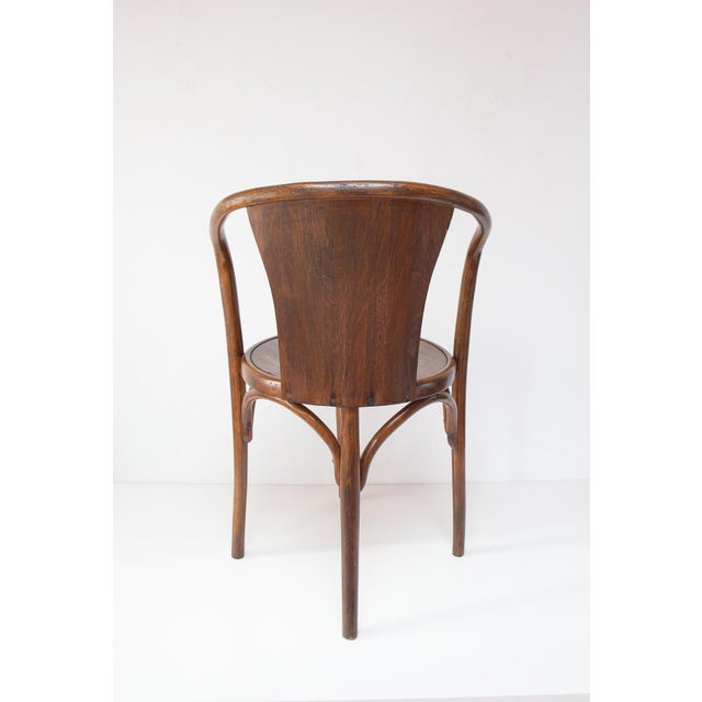 Bentwood E15 C Chair from Fischel, Former Czechoslovakia, 1920s-1930s For Sale - Image 6 of 10