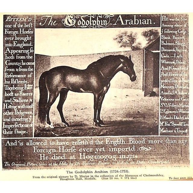 White "The Royal Studs of the Sixteenth and Seventeenth Century" 1935 Prior, Charles Matthew For Sale - Image 8 of 8