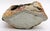 1950s Emerson Butawu African Shona Carved Serpentine Stone Sculpture For Sale - Image 12 of 12