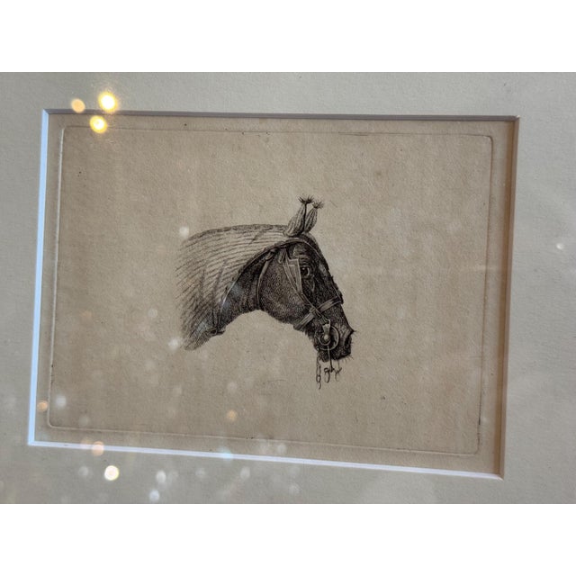 English C.1800 Antique Etchings by Johannes Bemme, Set of 3 Horse Heads For Sale - Image 3 of 17