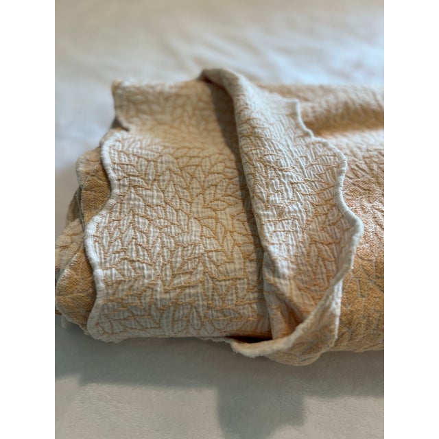 Portuguese Colchas Domingos Heavyweight Cotton Matelassé Oversized Queen Coverlet | Soft Buttercream For Sale - Image 9 of 13