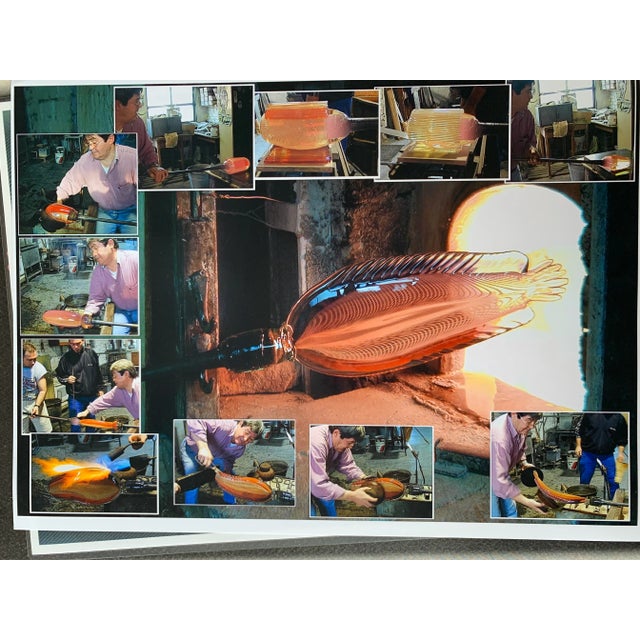 Contemporary Murano Glass Fish by Adriana Dalla Valentina For Sale - Image 10 of 11