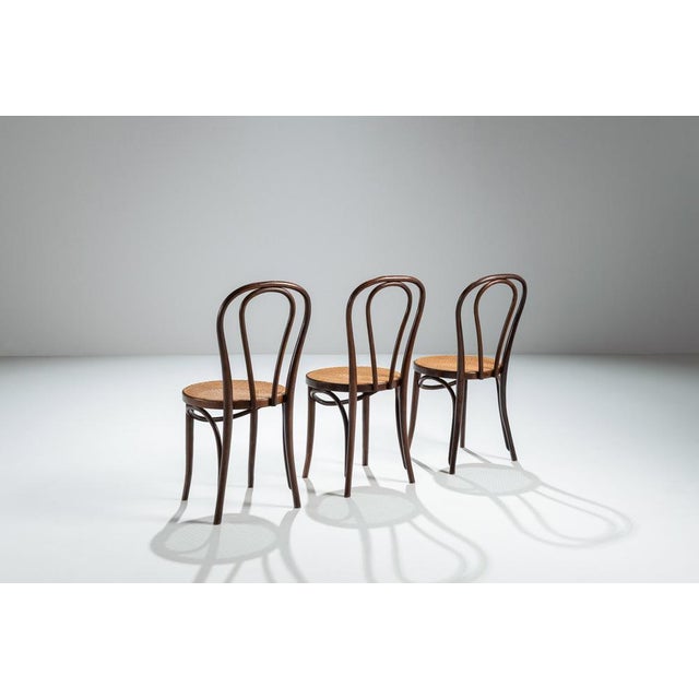 Mid-Century Modern Vintage Chaplin Chairs from Thonet, 1960s, Set of 3 For Sale - Image 3 of 9