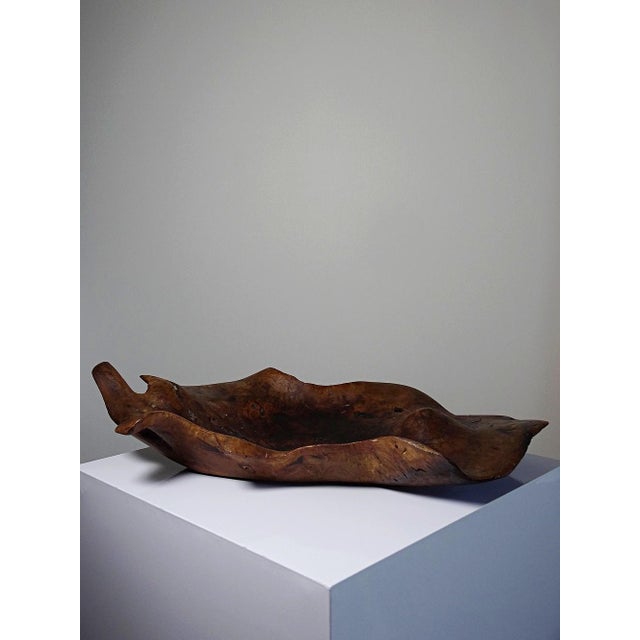 Wood Large Bowl in Dark Raw Wood, 1950s For Sale - Image 7 of 17