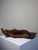 Wood Large Bowl in Dark Raw Wood, 1950s For Sale - Image 7 of 17