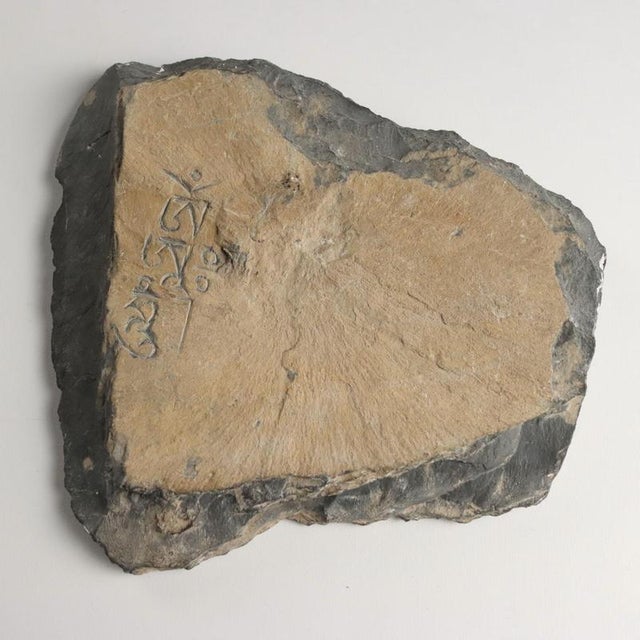 Stone Hands of Avalokiteshvara God of Compassion For Sale - Image 9 of 11
