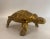 Circa 1970 Turtle Brass Sculpture, French For Sale - Image 6 of 13